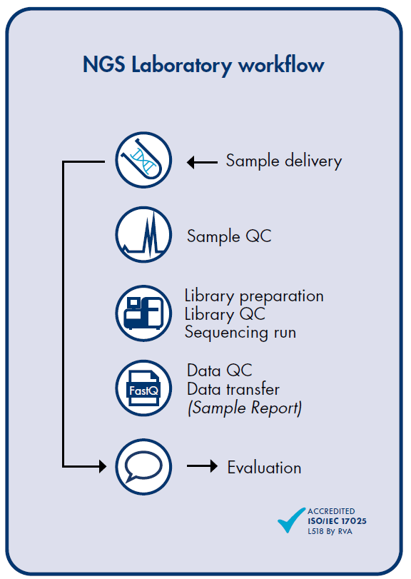 RNA sequencing workflow RNA Sequencing Services