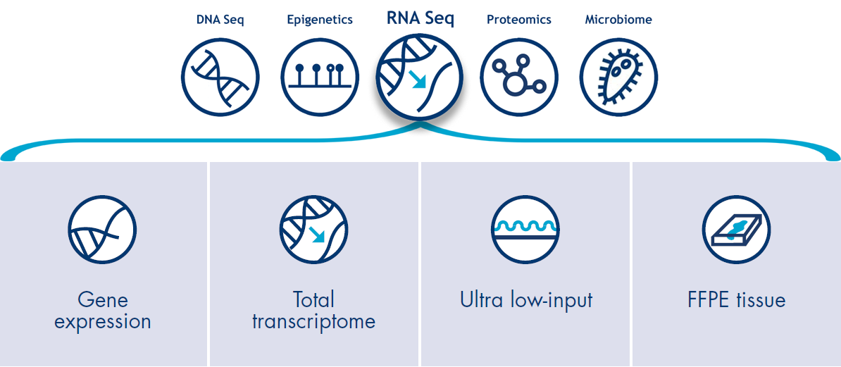 rna seq portfolio 2024 RNA Sequencing Services
